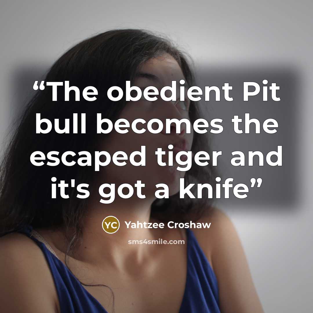 “The obedient Pit bull becomes the escaped tiger and it's got a knife” quote by Yahtzee Croshaw