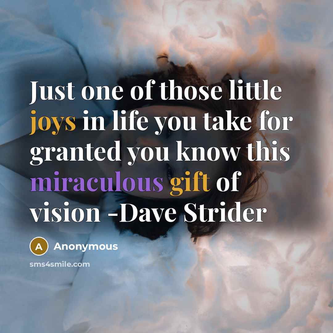 “Just one of those little joys in life you take for granted you know this miraculous gift of vision -Dave Strider” quote by Anonymous