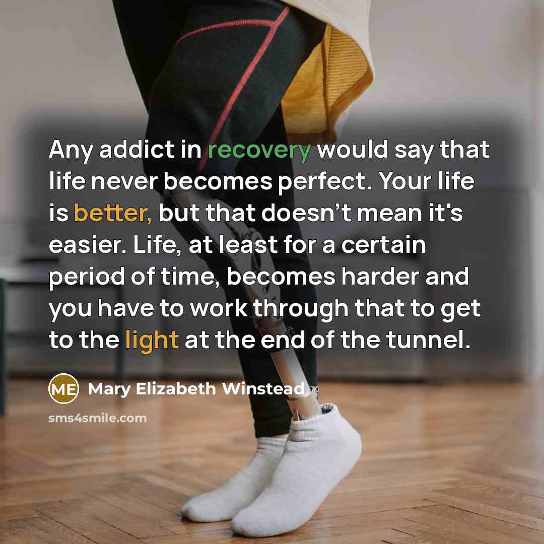 “Any addict in recovery would say that life never becomes perfect. Your life is better, but that doesn't mean it's easier. Life, at least for a certain period of time, becomes harder and you have to work through that to get to the light at the end of the tunnel.” quote by Mary Elizabeth Winstead