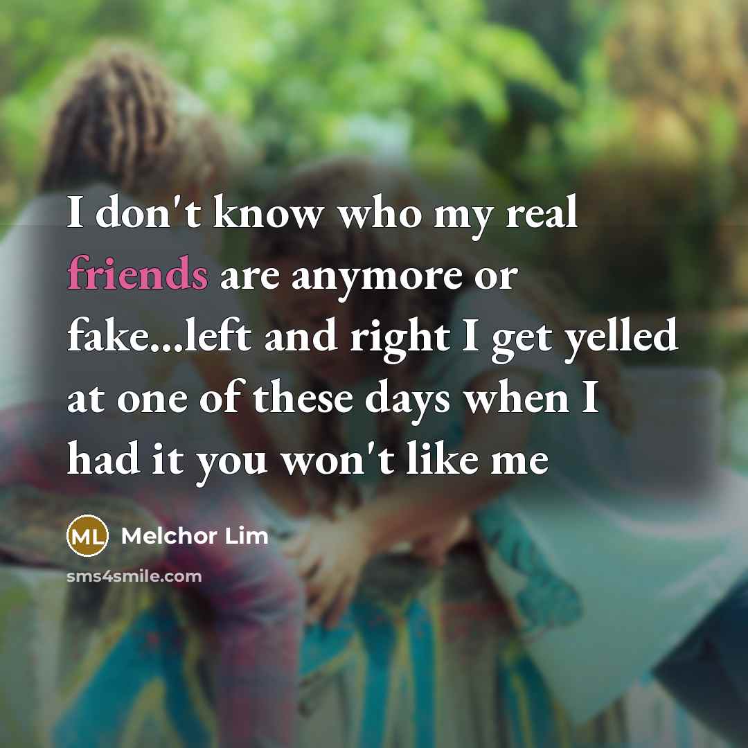 “I don't know who my real friends are anymore or fake...left and right I get yelled at one of these days when I had it you won't like me” quote by Melchor Lim