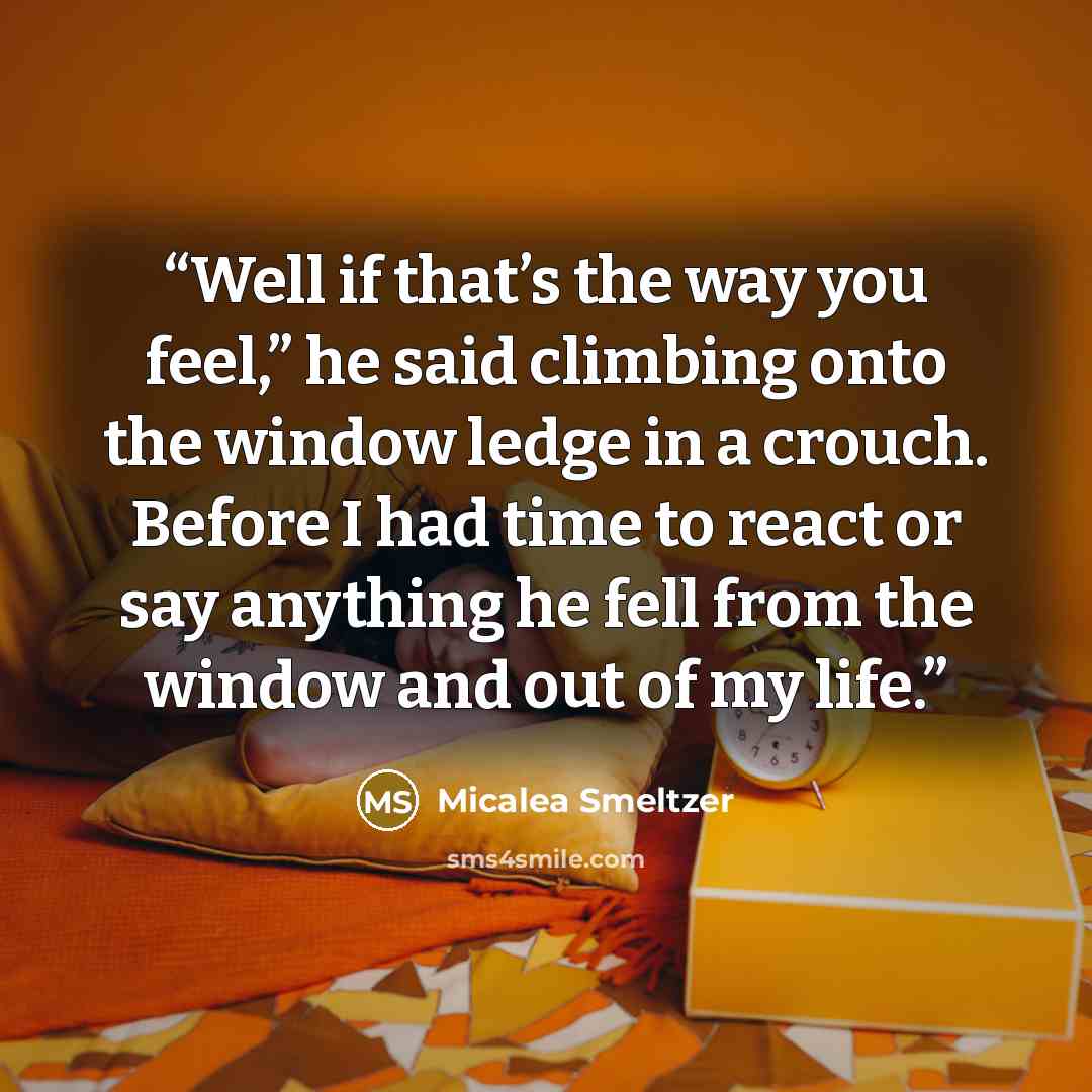 “Well if that’s the way you feel,” he said climbing onto the window ledge in a crouch. Before I had time to react or say anything he fell from the window and out of my life.” quote by Micalea Smeltzer