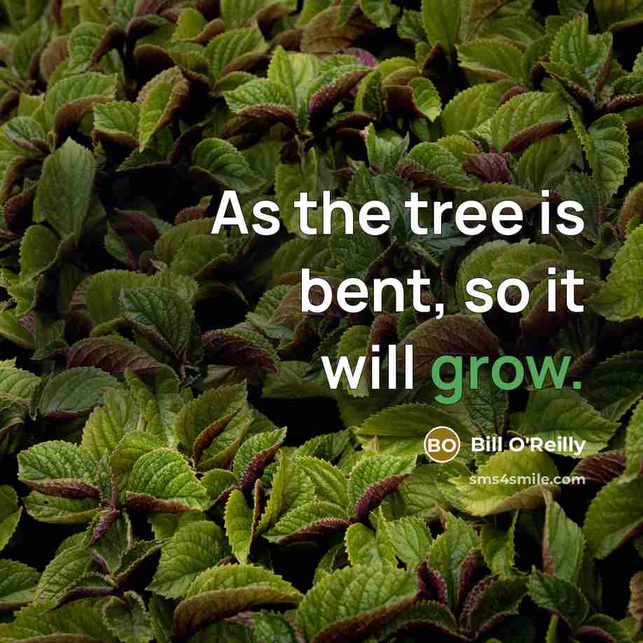 “As the tree is bent, so it will grow.” quote by Bill O'Reilly