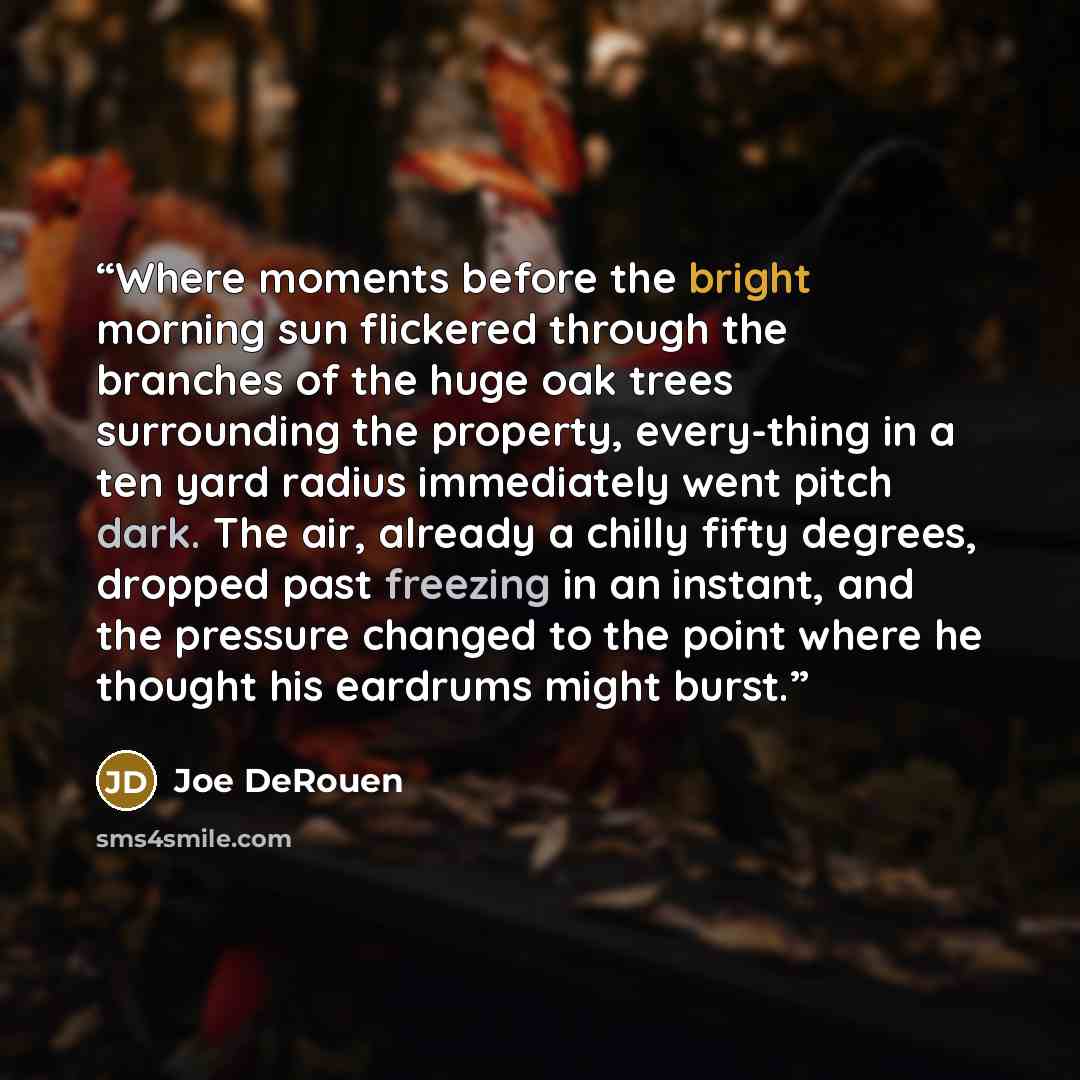 “Where moments before the bright morning sun flickered through the branches of the huge oak trees surrounding the property, every-thing in a ten yard radius immediately went pitch dark. The air, already a chilly fifty degrees, dropped past freezing in an instant, and the pressure changed to the…” quote by Joe DeRouen