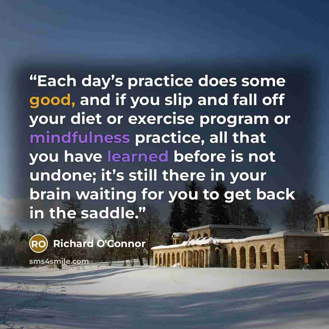 “Each day’s practice does some good, and if you slip and fall off your diet or exercise program or mindfulness practice, all that you have learned before is not undone; it’s still there in your brain waiting for you to get back in the saddle.” quote by Richard O'Connor