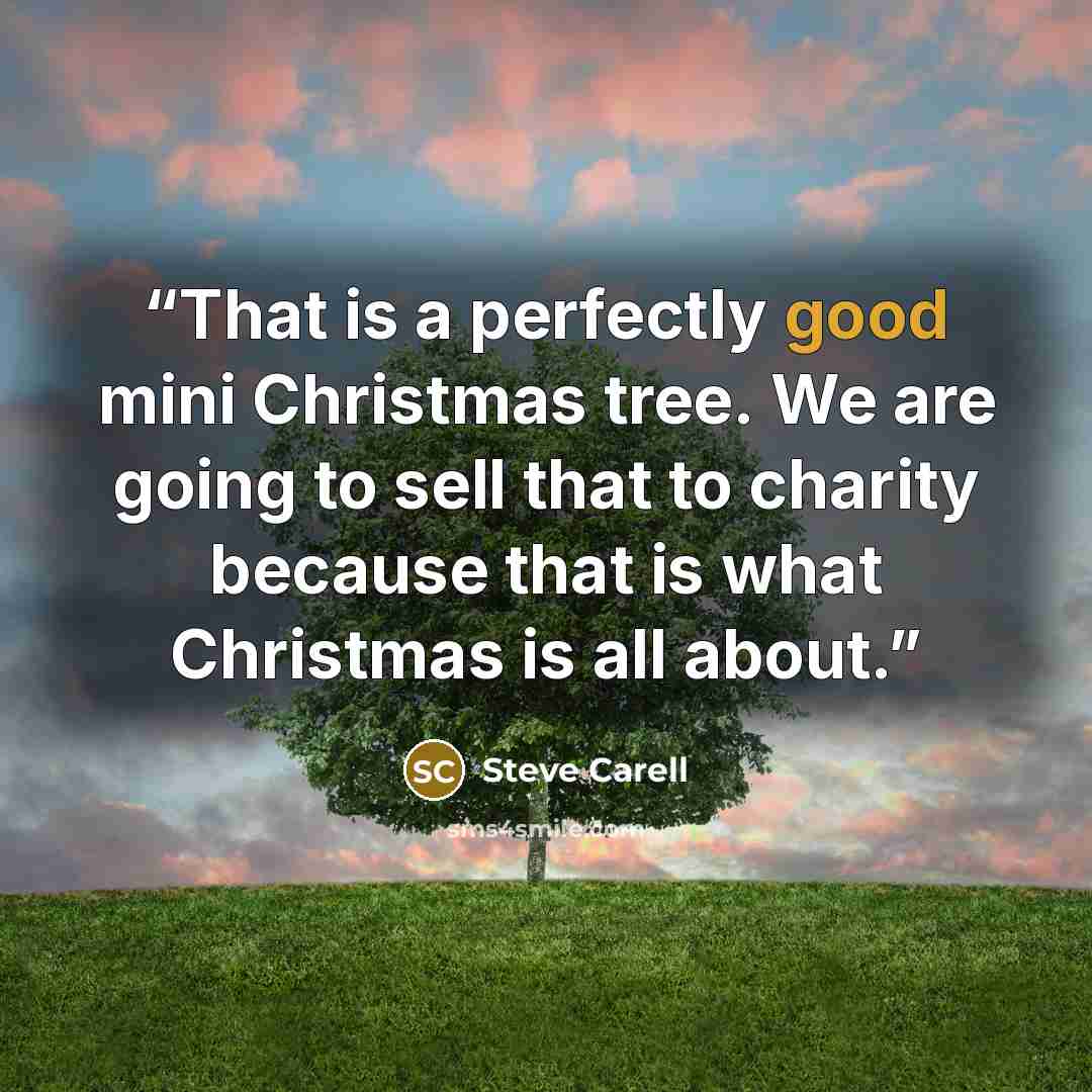 “That is a perfectly good mini Christmas tree. We are going to sell that to charity because that is what Christmas is all about.” quote by Steve Carell
