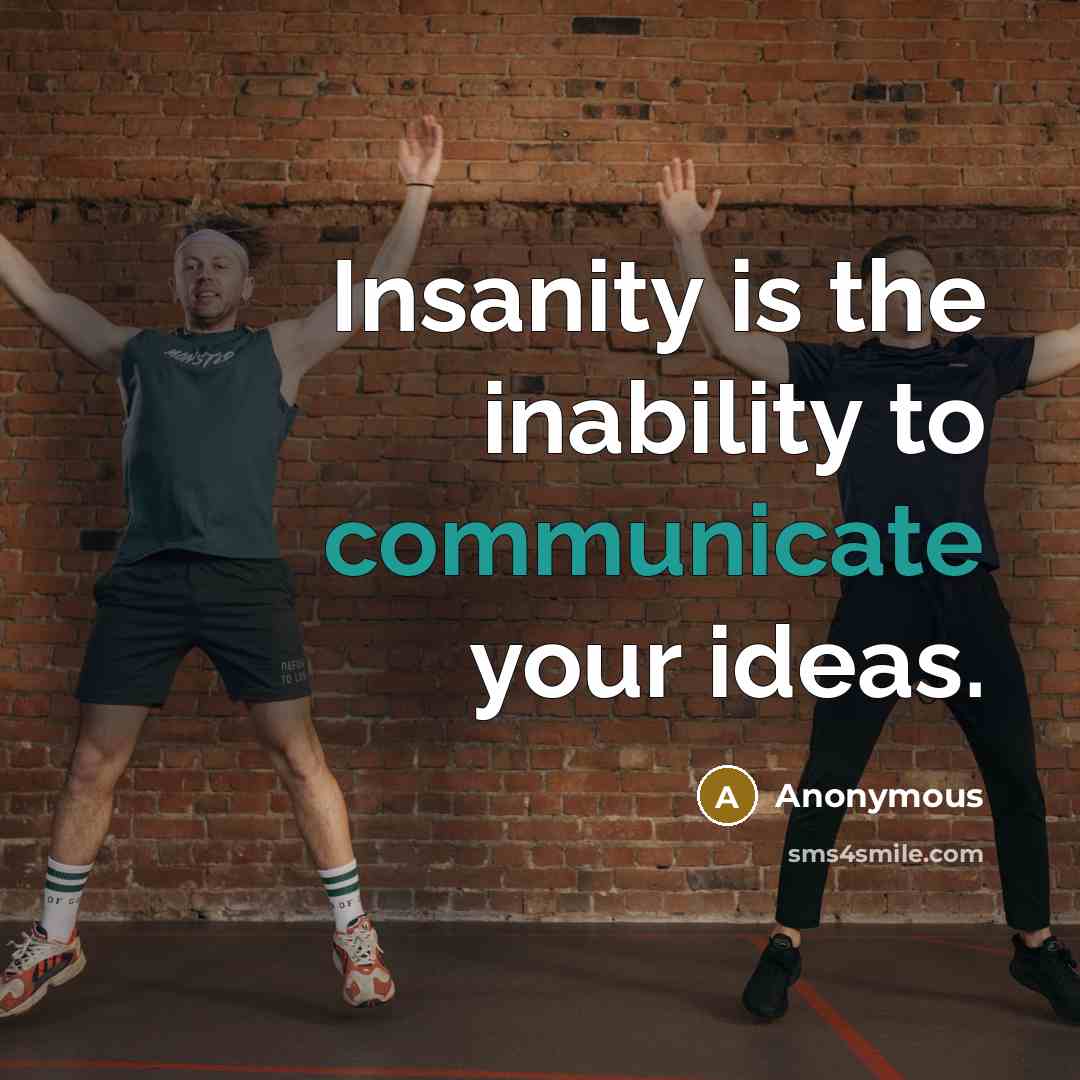 “Insanity is the inability to communicate your ideas.” quote by Anonymous