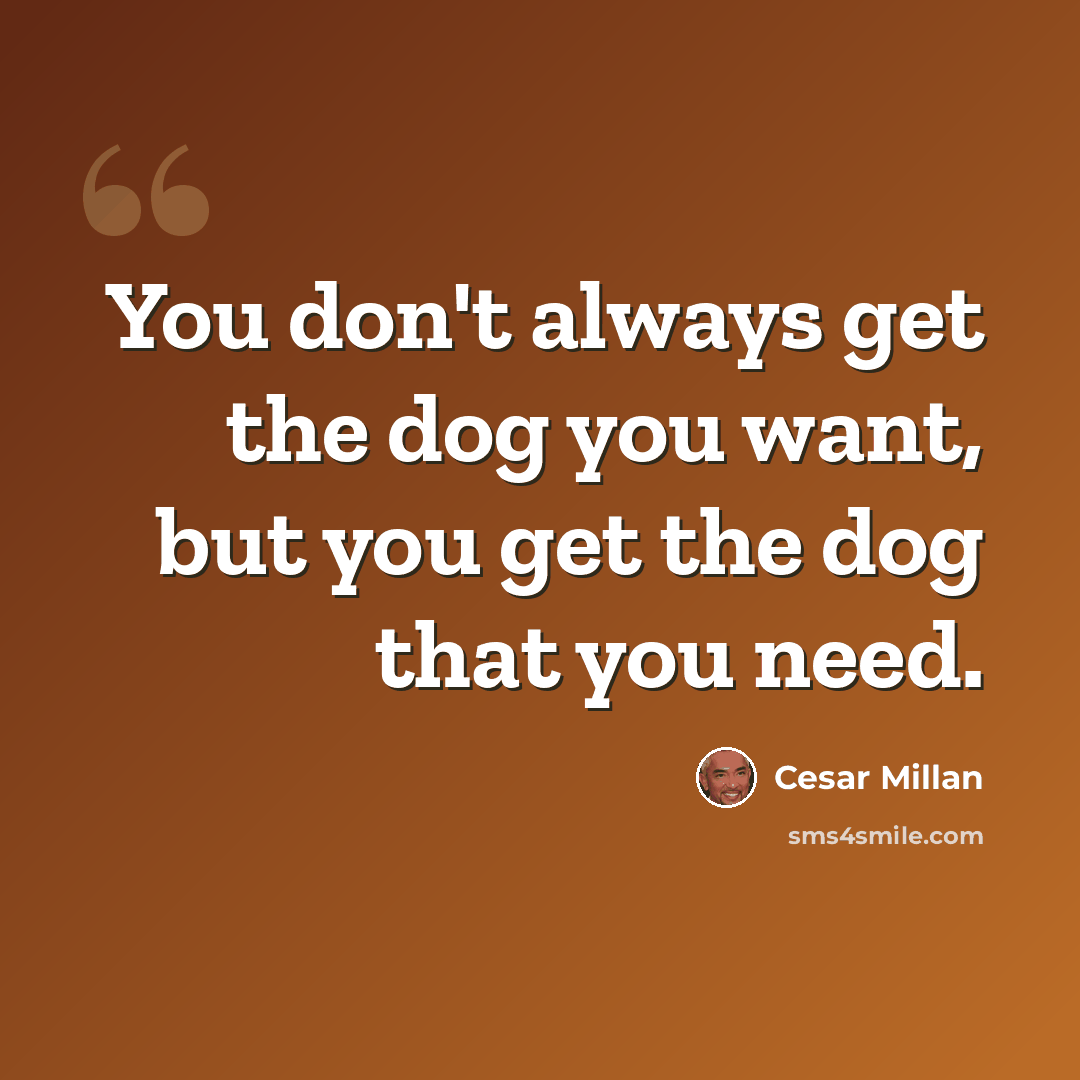 “You don't always get the dog you want, but you get the dog that you need.” quote by Cesar Millan