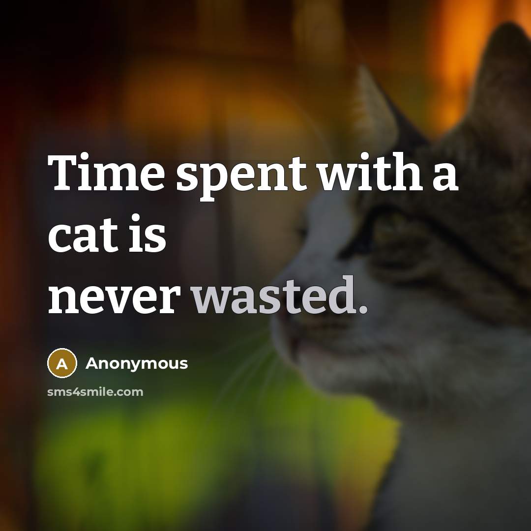 “Time spent with a cat is never wasted.” quote by Anonymous