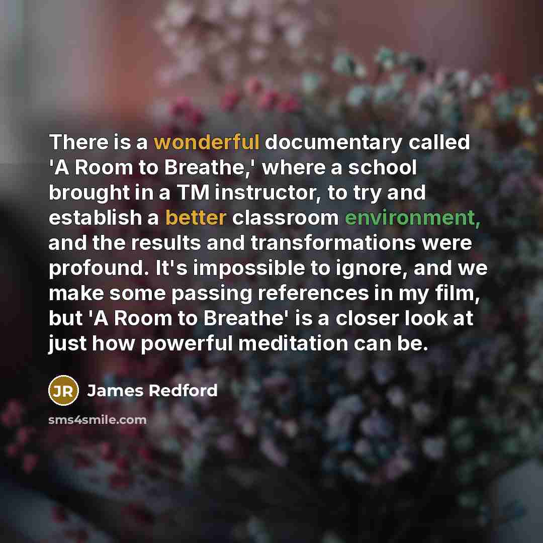 “There is a wonderful documentary called 'A Room to Breathe,' where a school brought in a TM instructor, to try and establish a better classroom environment, and the results and transformations were profound. It's impossible to ignore, and we make some passing references in my film, but 'A Room to…” quote by James Redford