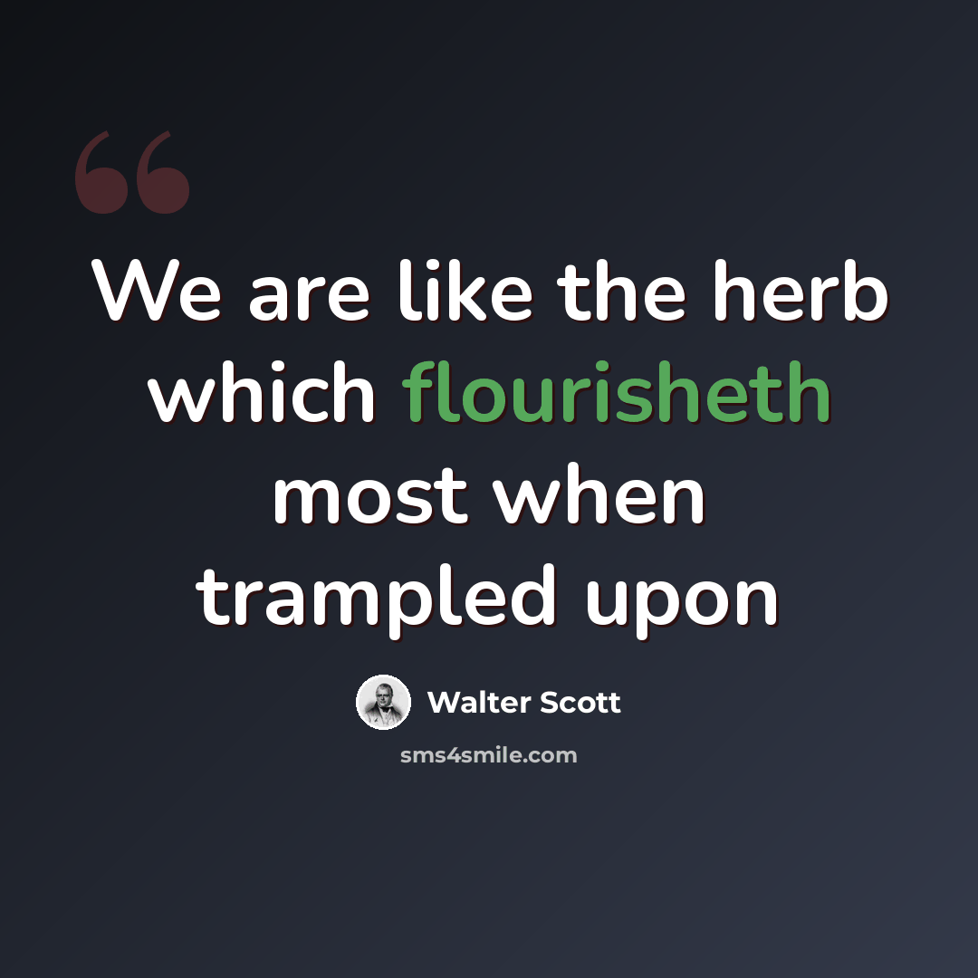 “We are like the herb which flourisheth most when trampled upon” quote by Walter Scott