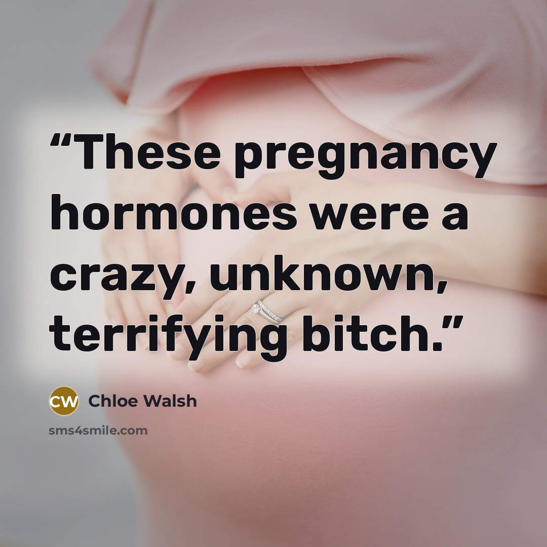 “These pregnancy hormones were a crazy, unknown, terrifying bitch.” quote by Chloe Walsh