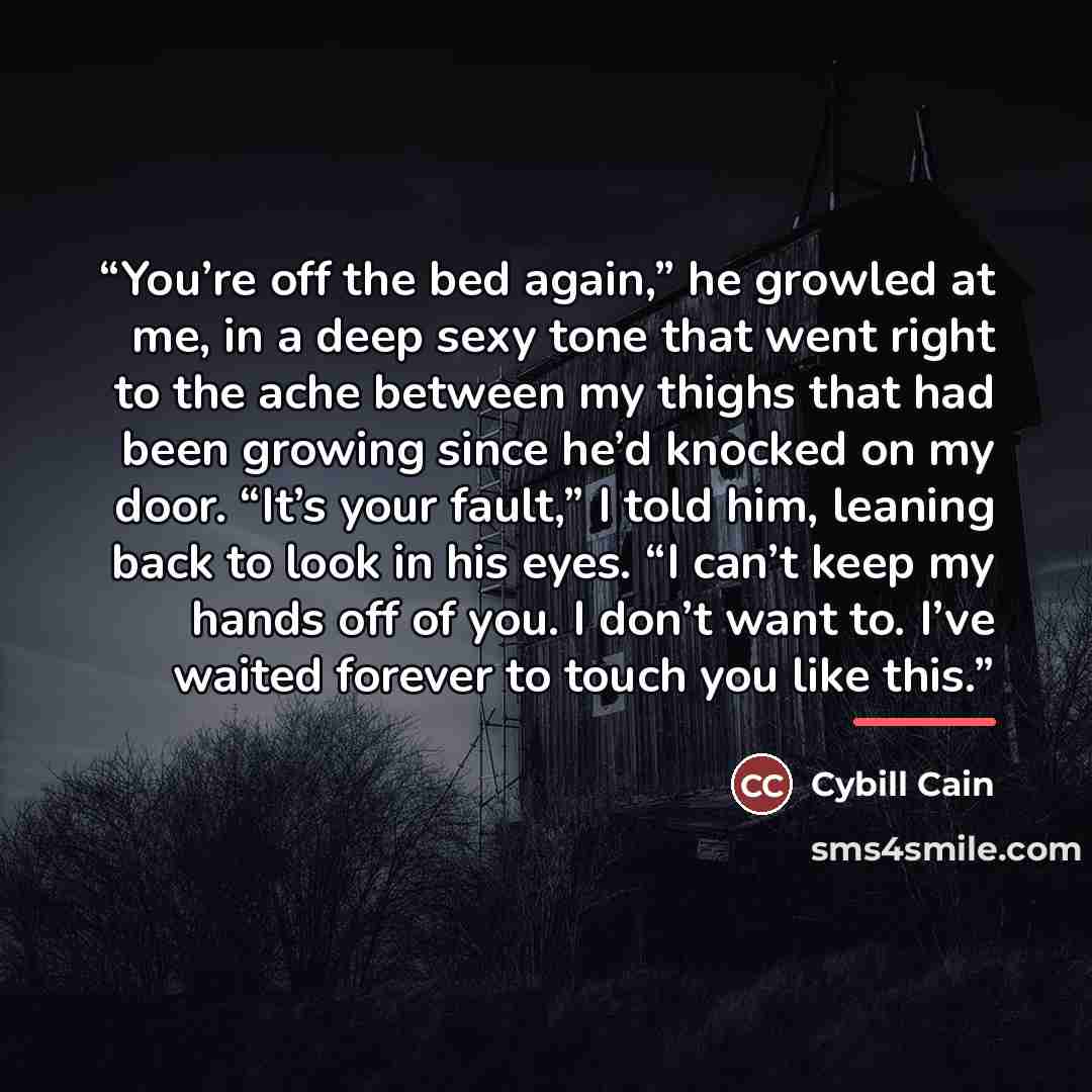 “You’re off the bed again,” he growled at me, in a deep sexy tone that went right to the ache between my thighs that had been growing since he’d knocked on my door. “It’s your fault,” I told him, leaning back to look in his eyes. “I can’t keep my hands off of you. I don’t want to. I’ve waited…” quote by Cybill Cain