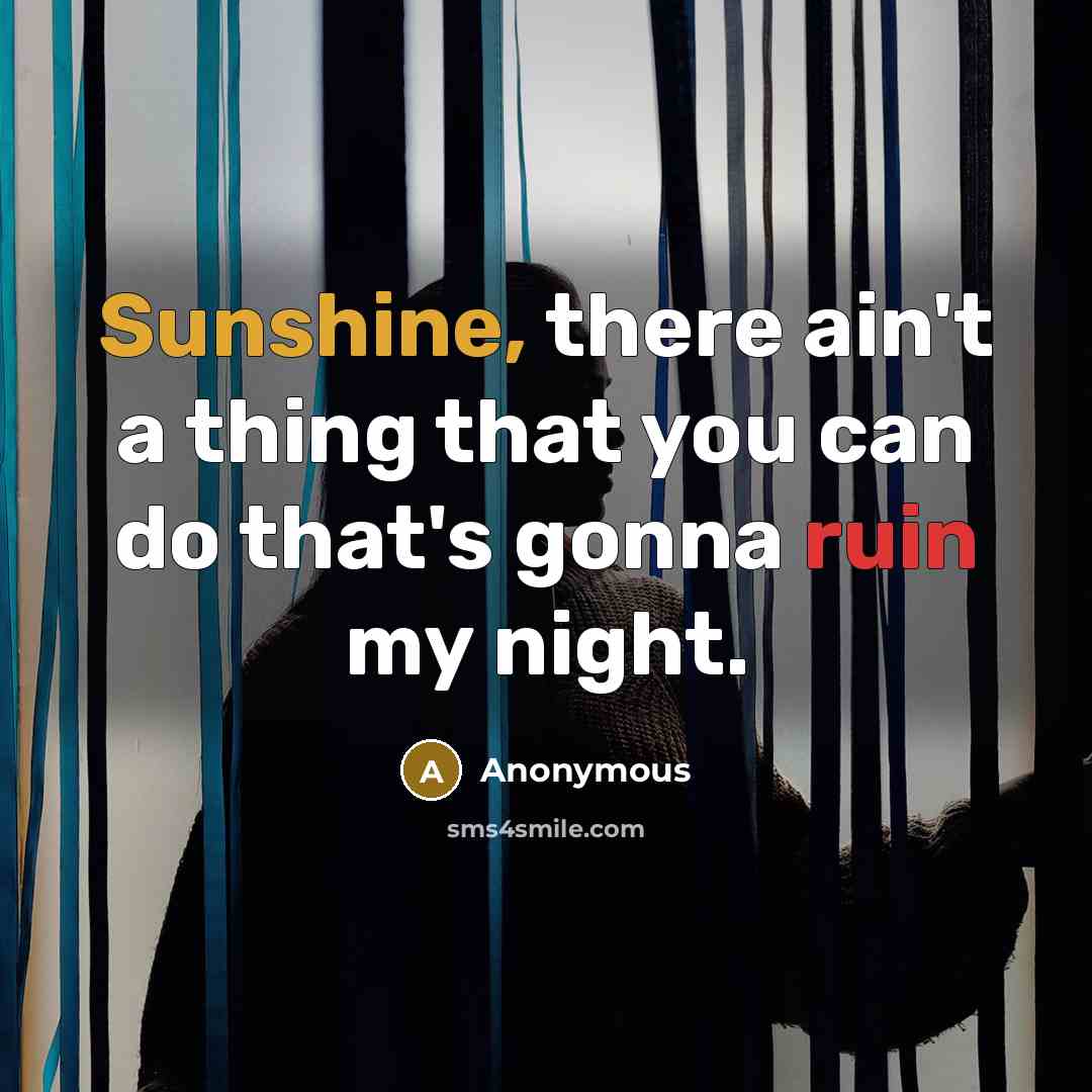 “Sunshine, there ain't a thing that you can do that's gonna ruin my night.” quote by Anonymous