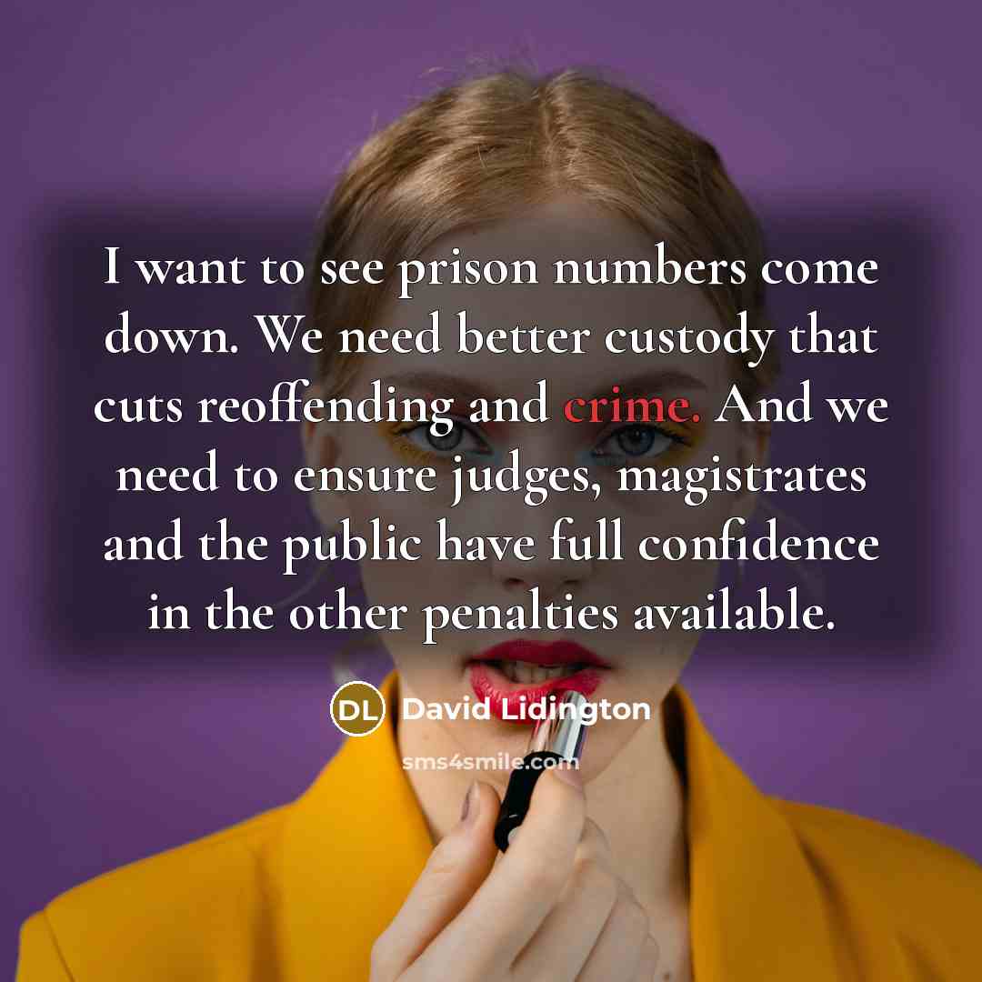 “I want to see prison numbers come down. We need better custody that cuts reoffending and crime. And we need to ensure judges, magistrates and the public have full confidence in the other penalties available.” quote by David Lidington