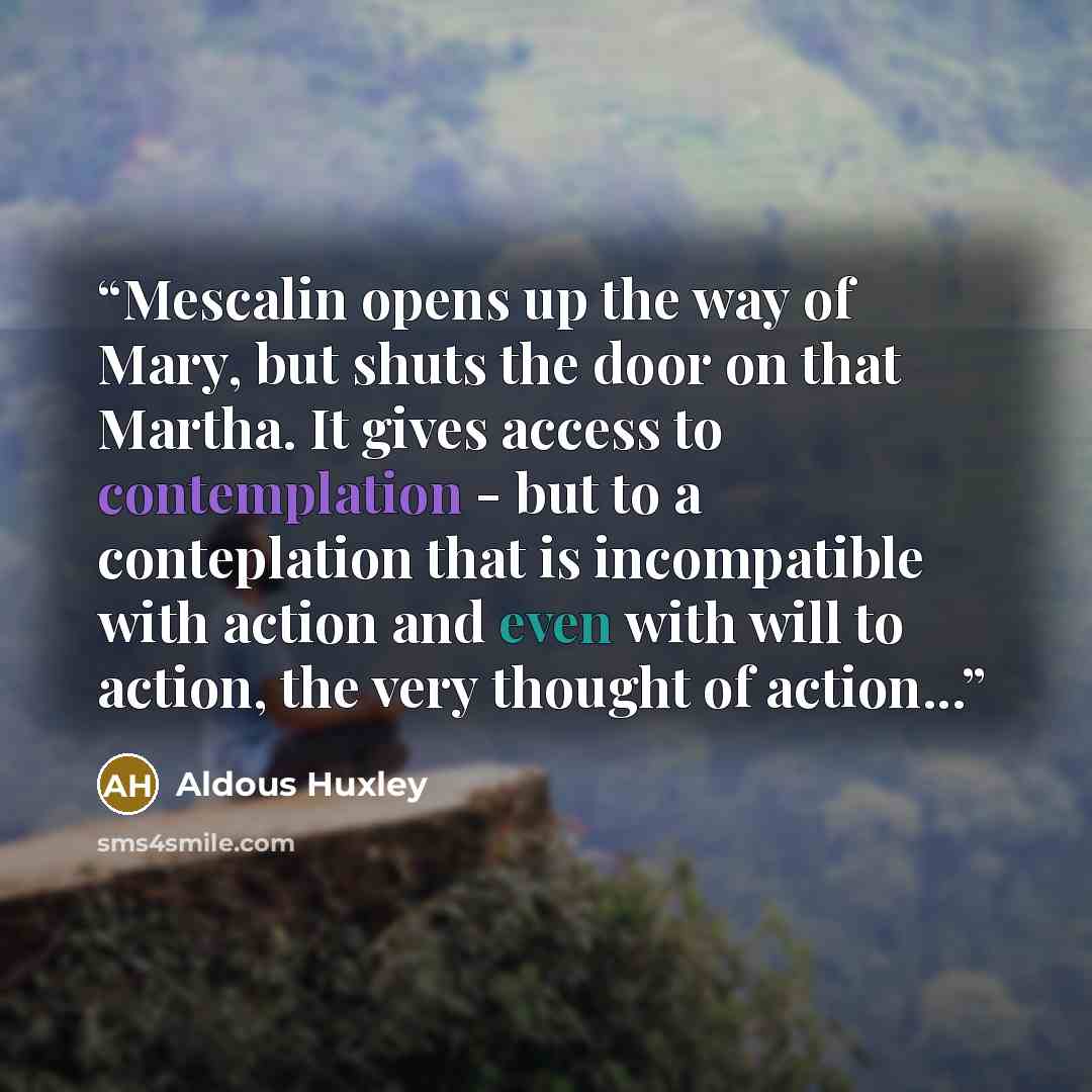 “Mescalin opens up the way of Mary, but shuts the door on that Martha. It gives access to contemplation - but to a conteplation that is incompatible with action and even with will to action, the very thought of action...” quote by Aldous Huxley