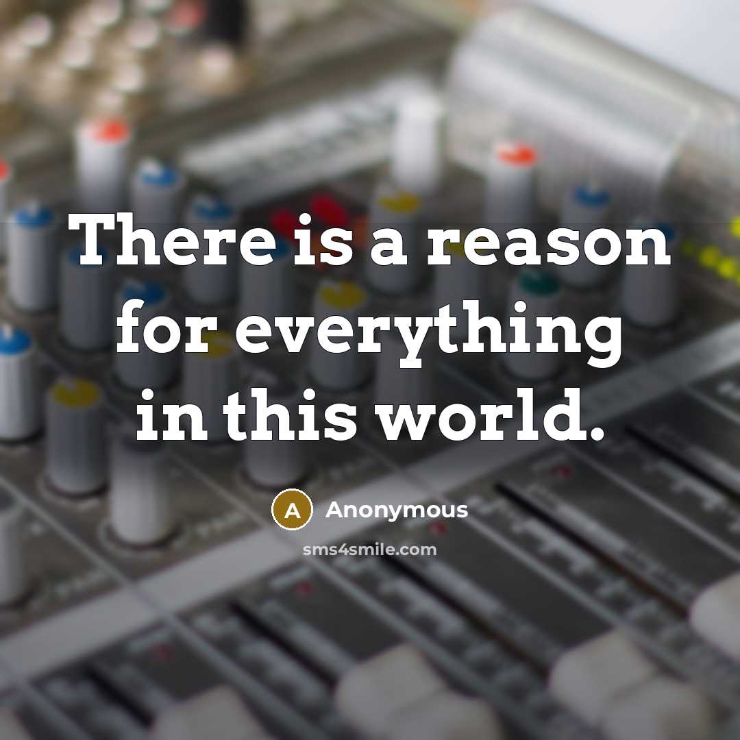 “There is a reason for everything in this world.” quote by Anonymous