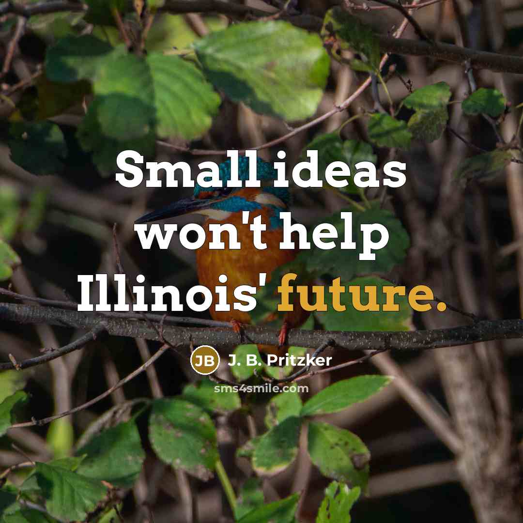 “Small ideas won't help Illinois' future.” quote by J. B. Pritzker