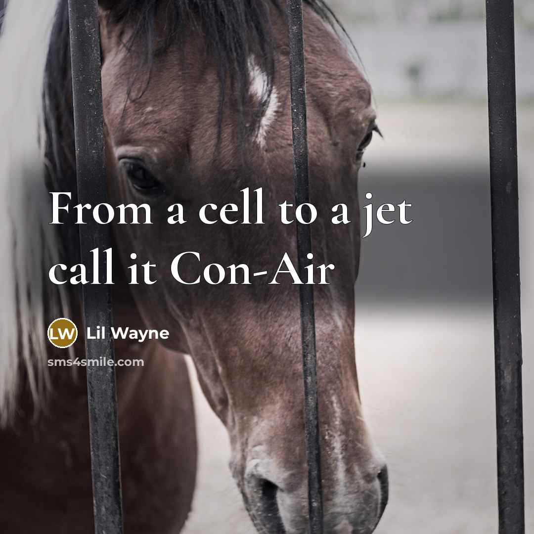 “From a cell to a jet call it Con-Air” quote by Lil Wayne