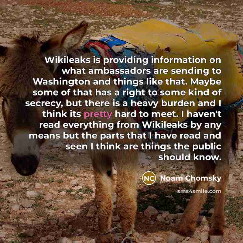 “Wikileaks is providing information on what ambassadors are sending to Washington and things like that. Maybe some of that has a right to some kind of secrecy, but there is a heavy burden and I think its pretty hard to meet. I haven't read everything from Wikileaks by any means but the parts that I…” quote by Noam Chomsky