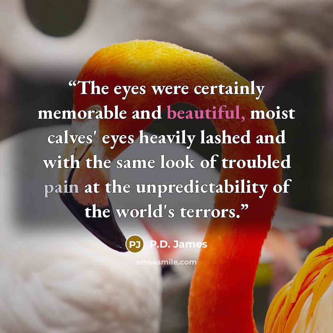 “The eyes were certainly memorable and beautiful, moist calves' eyes heavily lashed and with the same look of troubled pain at the unpredictability of the world's terrors.” quote by P.D. James