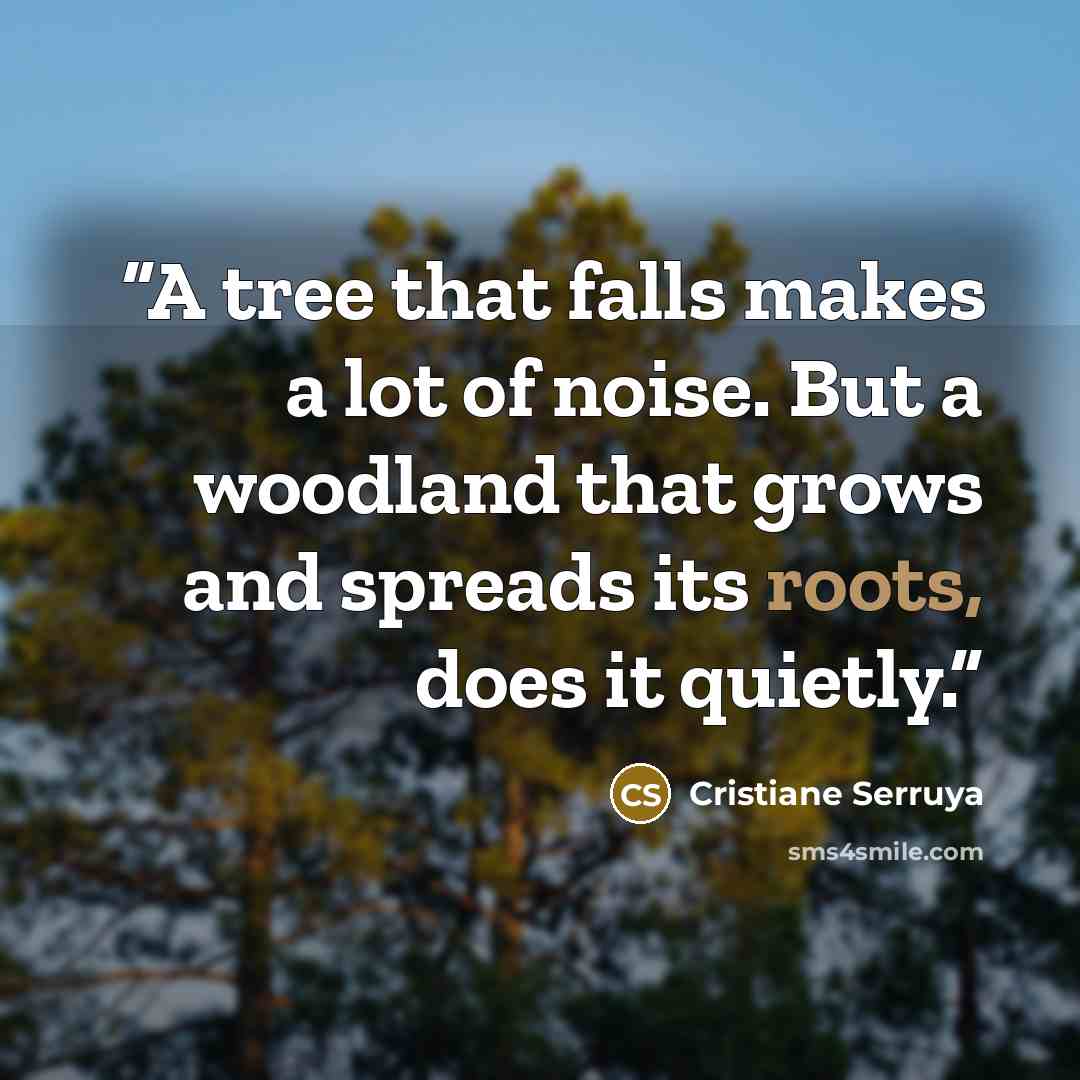 “A tree that falls makes a lot of noise. But a woodland that grows and spreads its roots, does it quietly.” quote by Cristiane Serruya