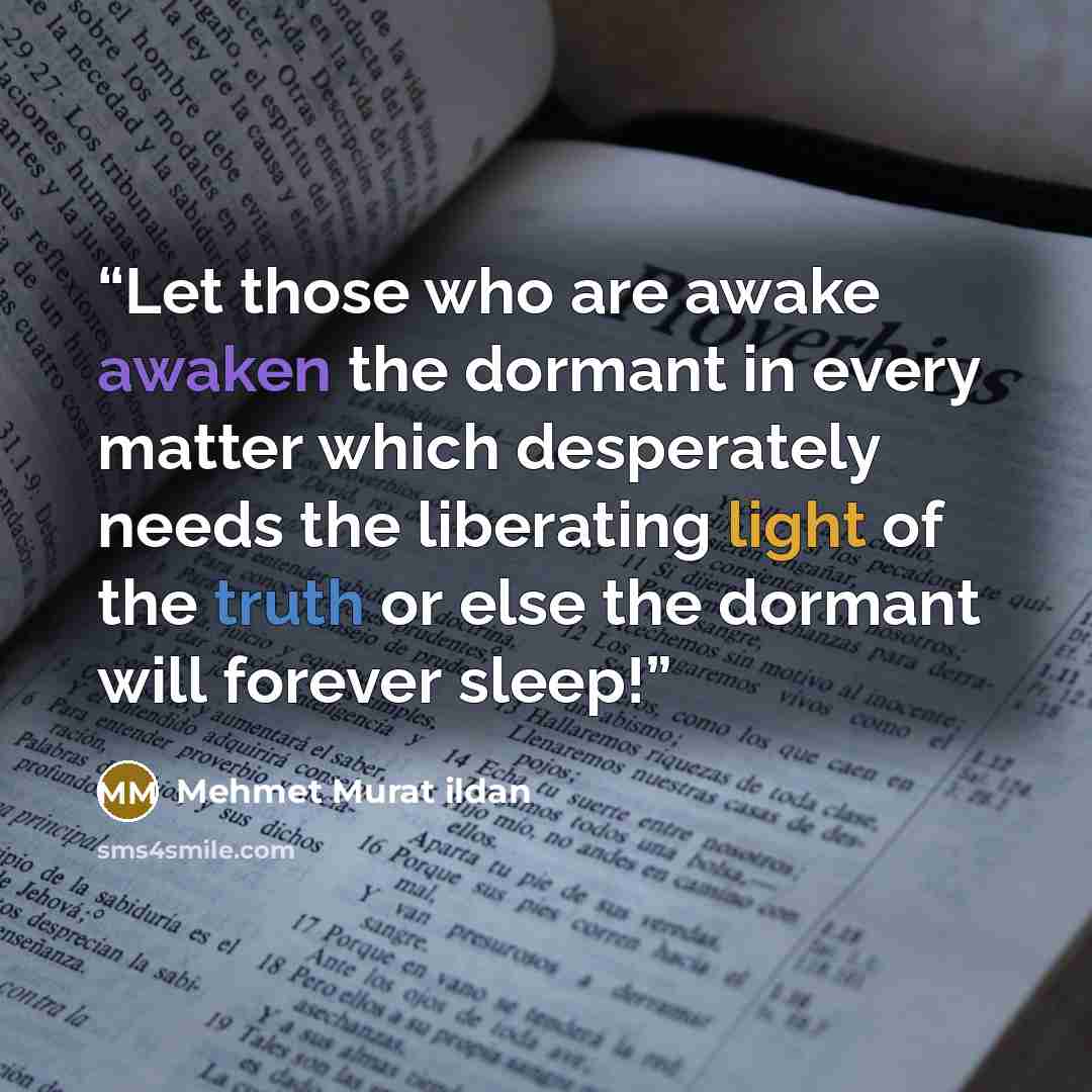 “Let those who are awake awaken the dormant in every matter which desperately needs the liberating light of the truth or else the dormant will forever sleep!” quote by Mehmet Murat ildan