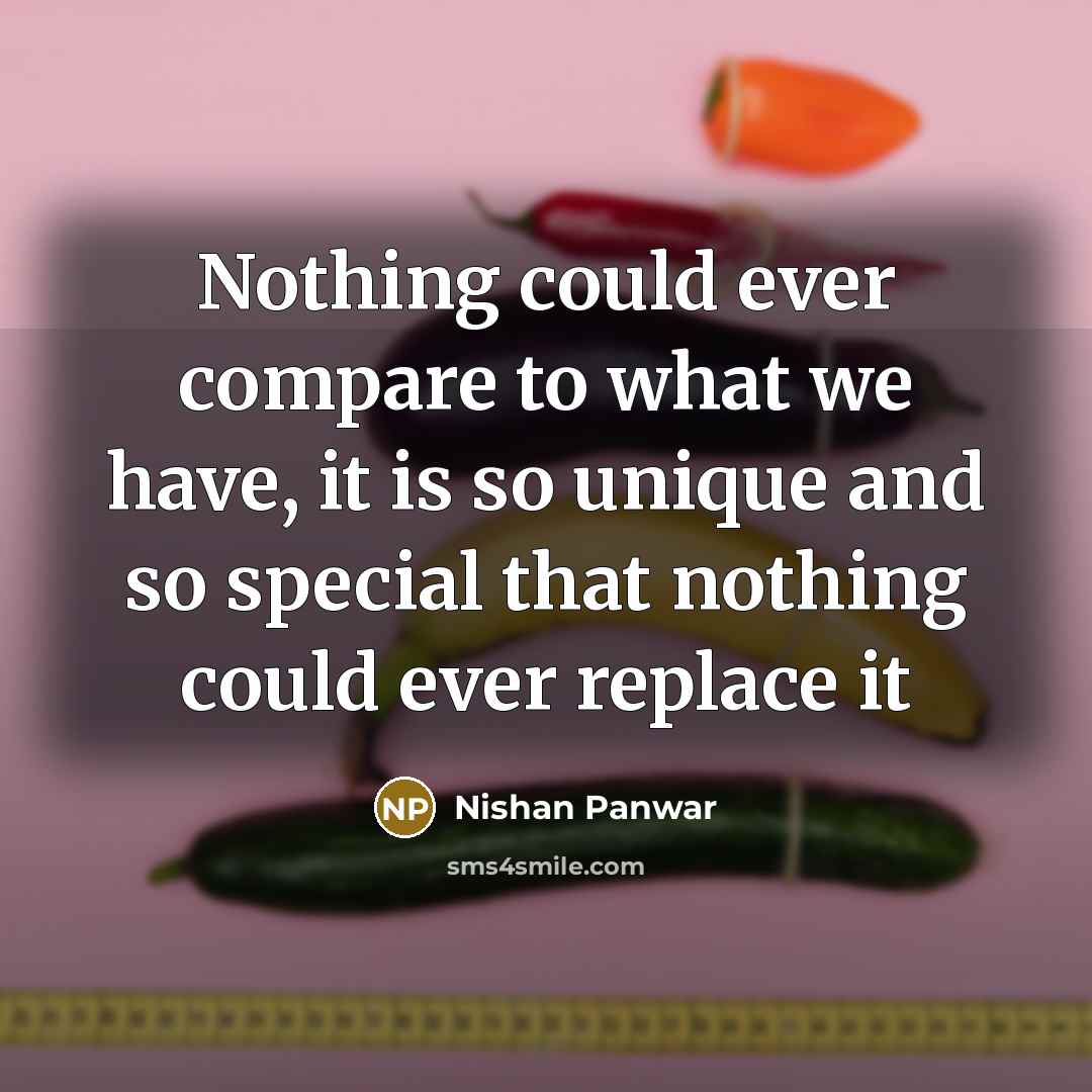 “Nothing could ever compare to what we have, it is so unique and so special that nothing could ever replace it” quote by Nishan Panwar