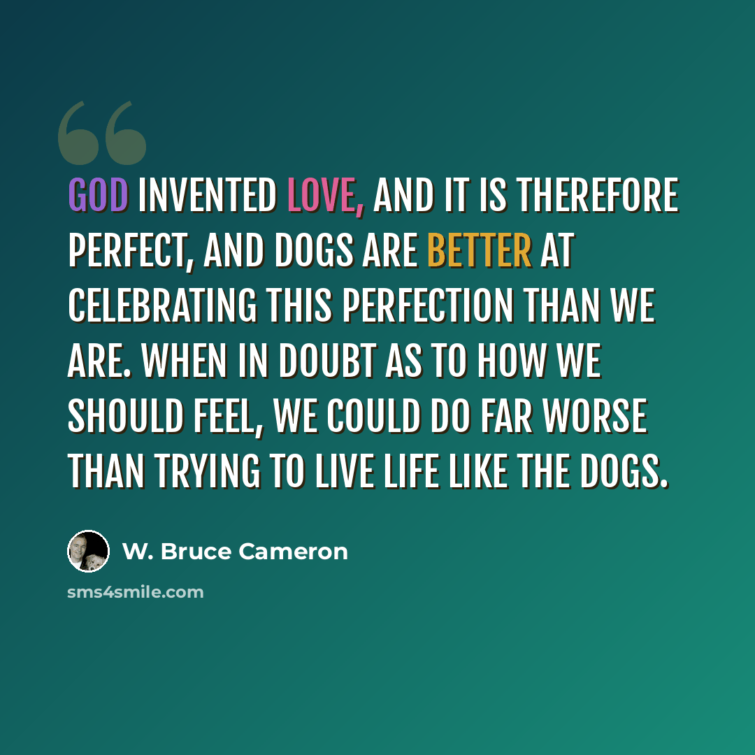“God invented love, and it is therefore perfect, and dogs are better at celebrating this perfection than we are. When in doubt as to how we should feel, we could do far worse than trying to live life like the dogs.” quote by W. Bruce Cameron