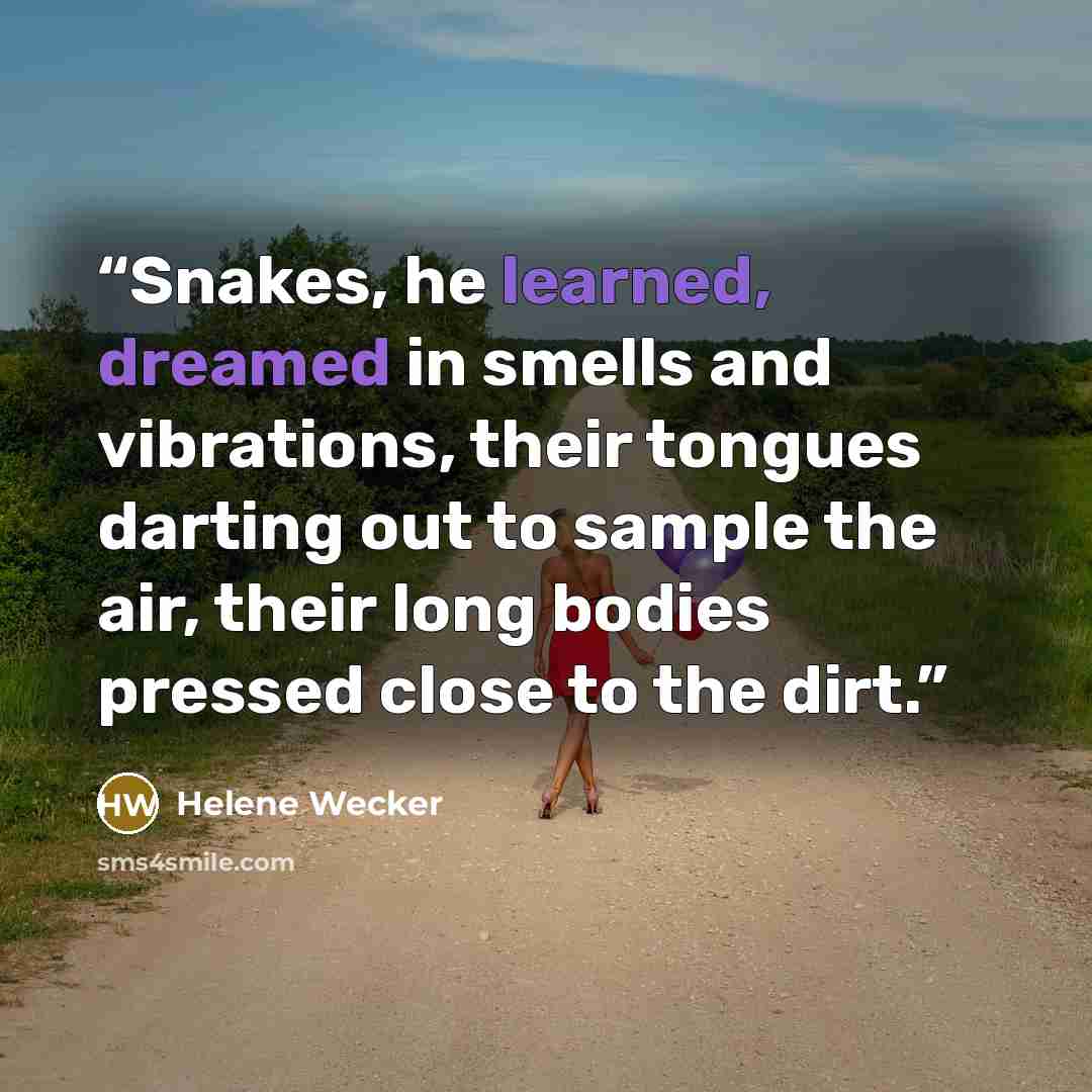 “Snakes, he learned, dreamed in smells and vibrations, their tongues darting out to sample the air, their long bodies pressed close to the dirt.” quote by Helene Wecker