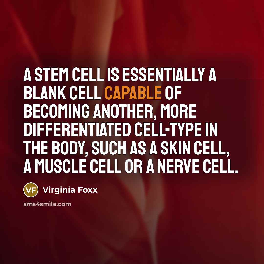“A stem cell is essentially a blank cell capable of becoming another, more differentiated cell-type in the body, such as a skin cell, a muscle cell or a nerve cell.” quote by Virginia Foxx