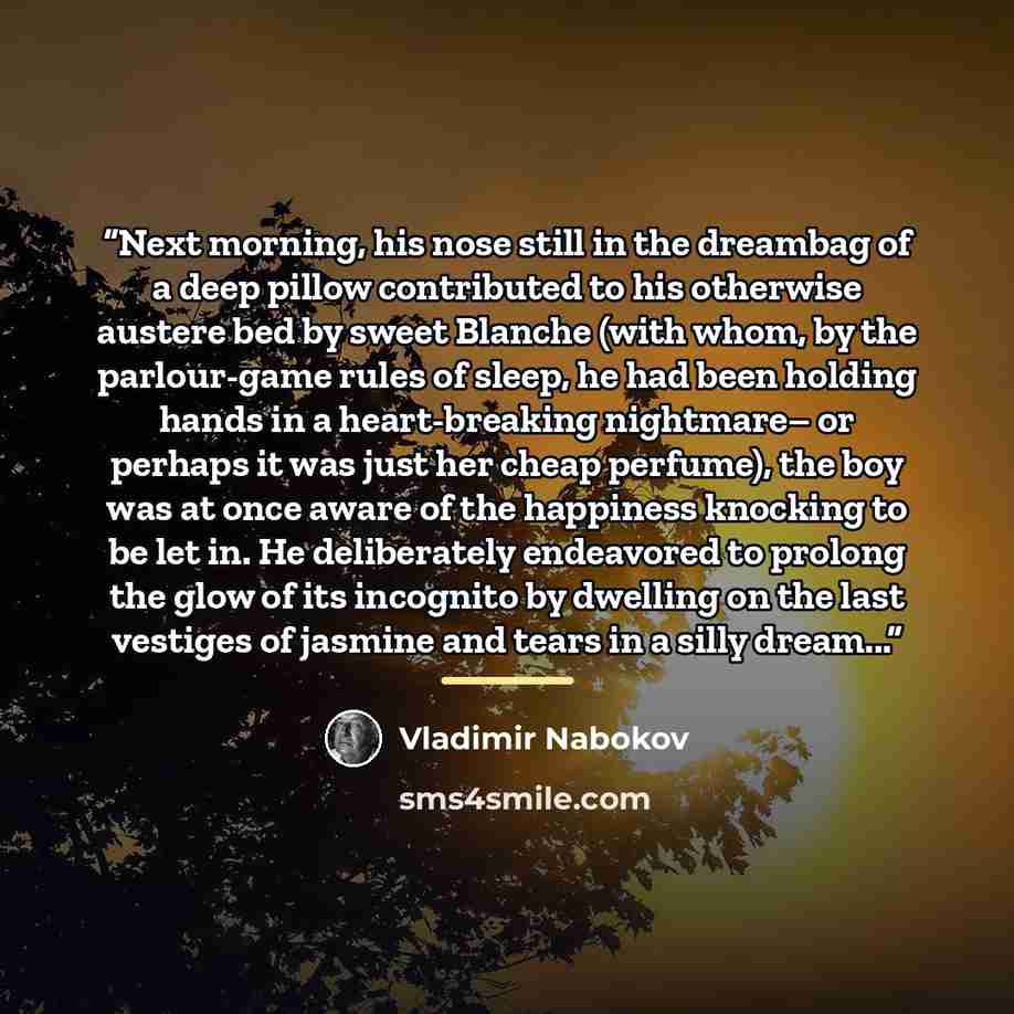 “Next morning, his nose still in the dreambag of a deep pillow contributed to his otherwise austere bed by sweet Blanche (with whom, by the parlour-game rules of sleep, he had been holding hands in a heart-breaking nightmare– or perhaps it was just her cheap perfume), the boy was at once aware of…” quote by Vladimir Nabokov