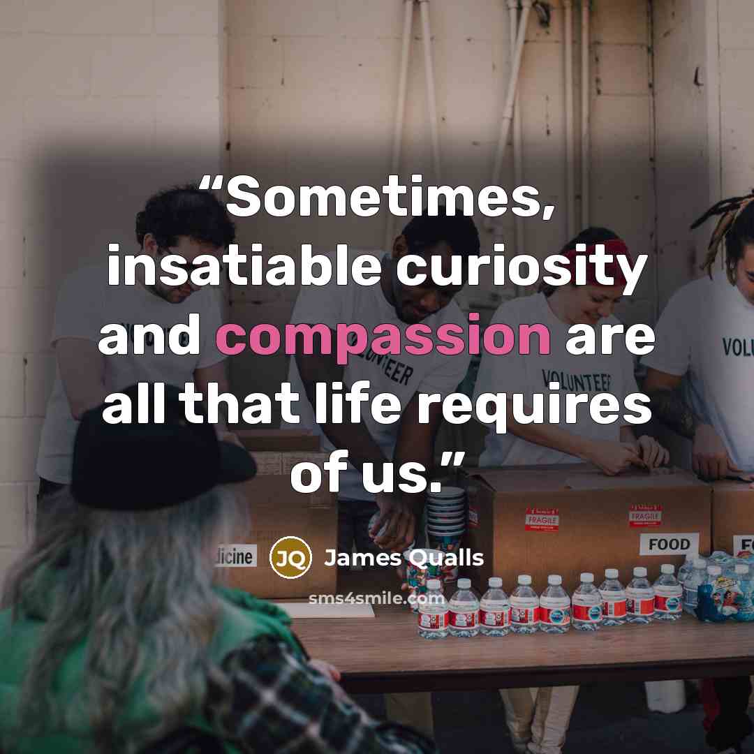 “Sometimes, insatiable curiosity and compassion are all that life requires of us.” quote by James Qualls