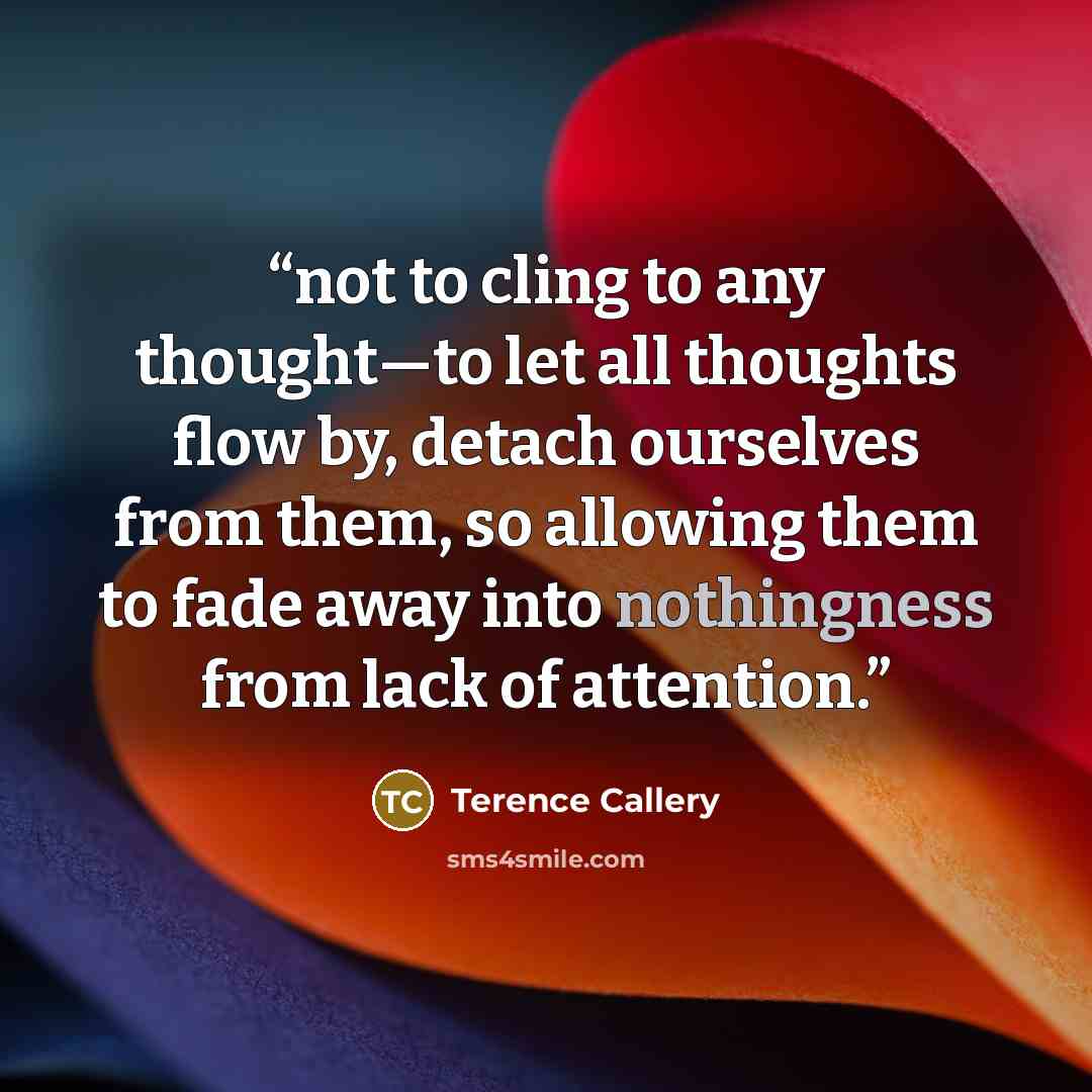 “not to cling to any thought—to let all thoughts flow by, detach ourselves from them, so allowing them to fade away into nothingness from lack of attention.” quote by Terence Callery