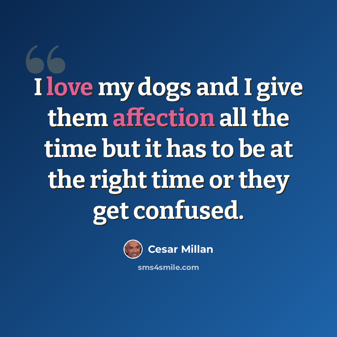 “I love my dogs and I give them affection all the time but it has to be at the right time or they get confused.” quote by Cesar Millan