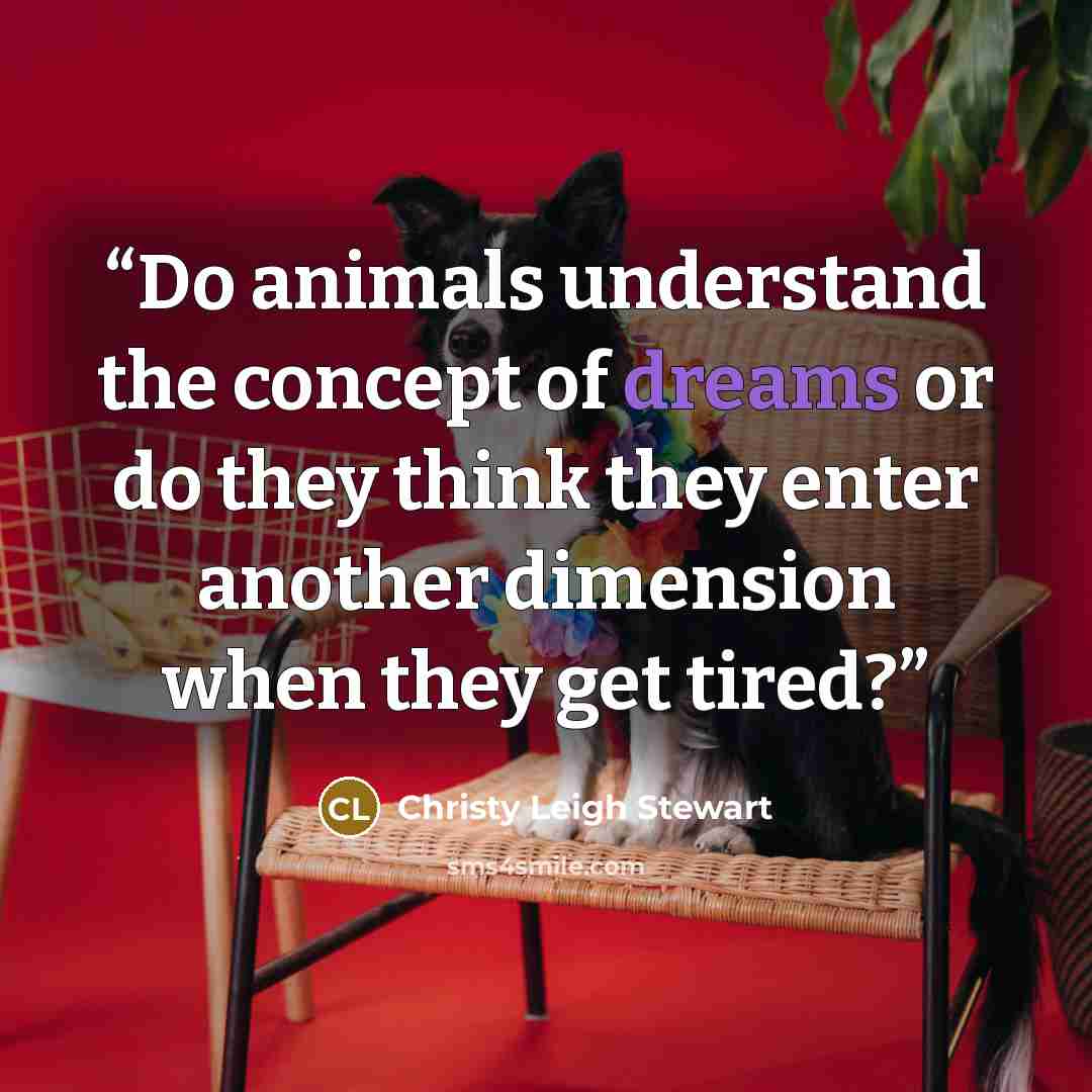 “Do animals understand the concept of dreams or do they think they enter another dimension when they get tired?” quote by Christy Leigh Stewart