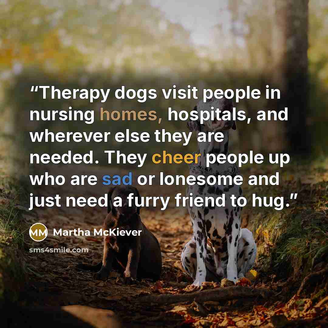 “Therapy dogs visit people in nursing homes, hospitals, and wherever else they are needed. They cheer people up who are sad or lonesome and just need a furry friend to hug.” quote by Martha McKiever