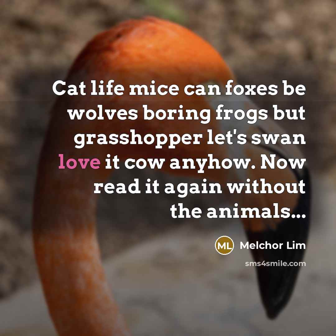 “Cat life mice can foxes be wolves boring frogs but grasshopper let's swan love it cow anyhow. Now read it again without the animals...” quote by Melchor Lim