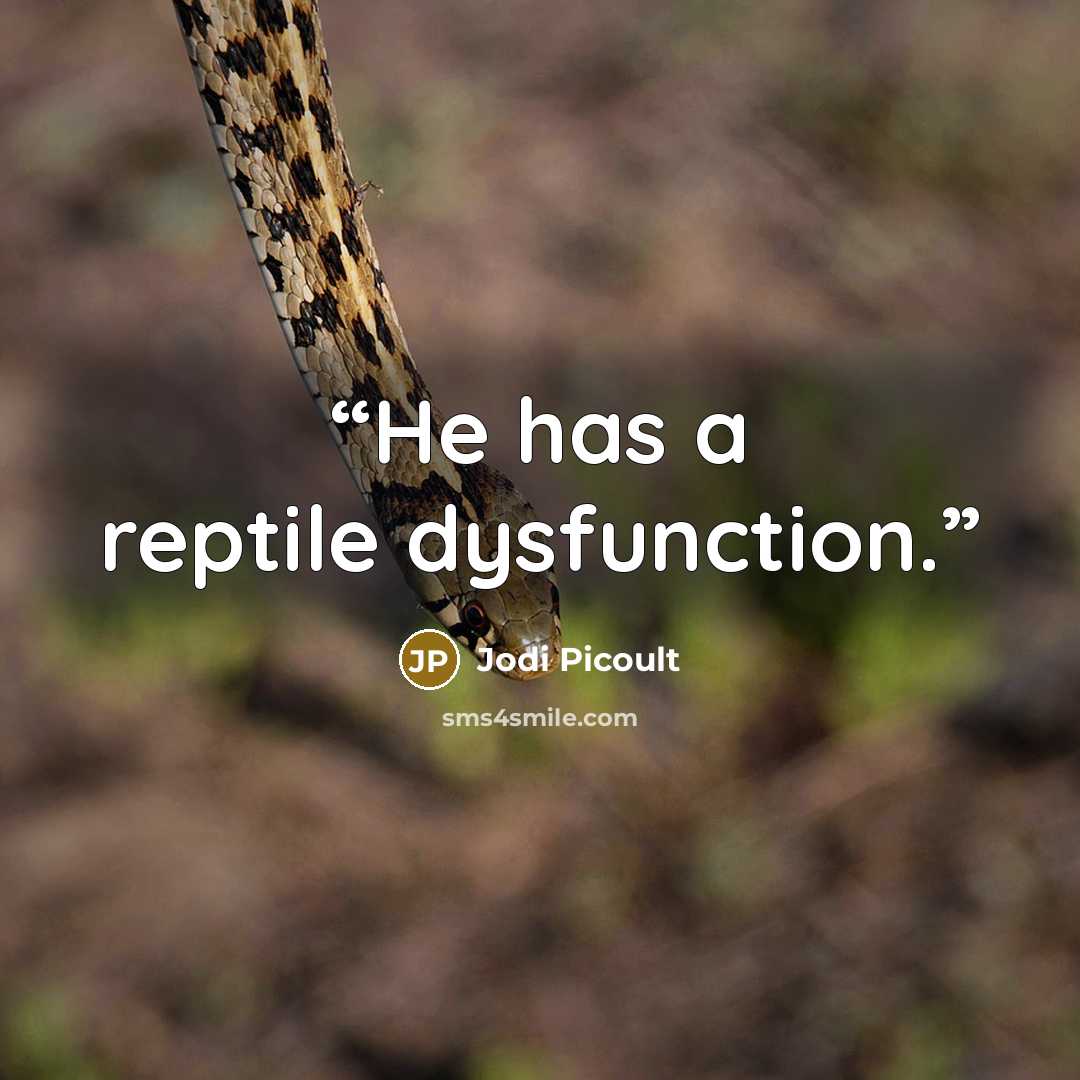 “He has a reptile dysfunction.” quote by Jodi Picoult