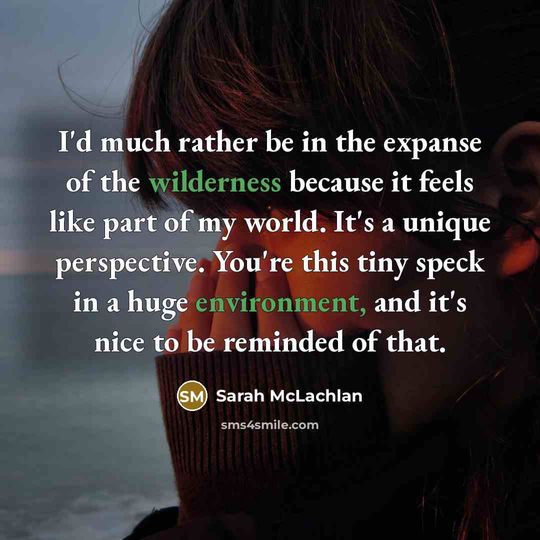 “I'd much rather be in the expanse of the wilderness because it feels like part of my world. It's a unique perspective. You're this tiny speck in a huge environment, and it's nice to be reminded of that.” quote by Sarah McLachlan