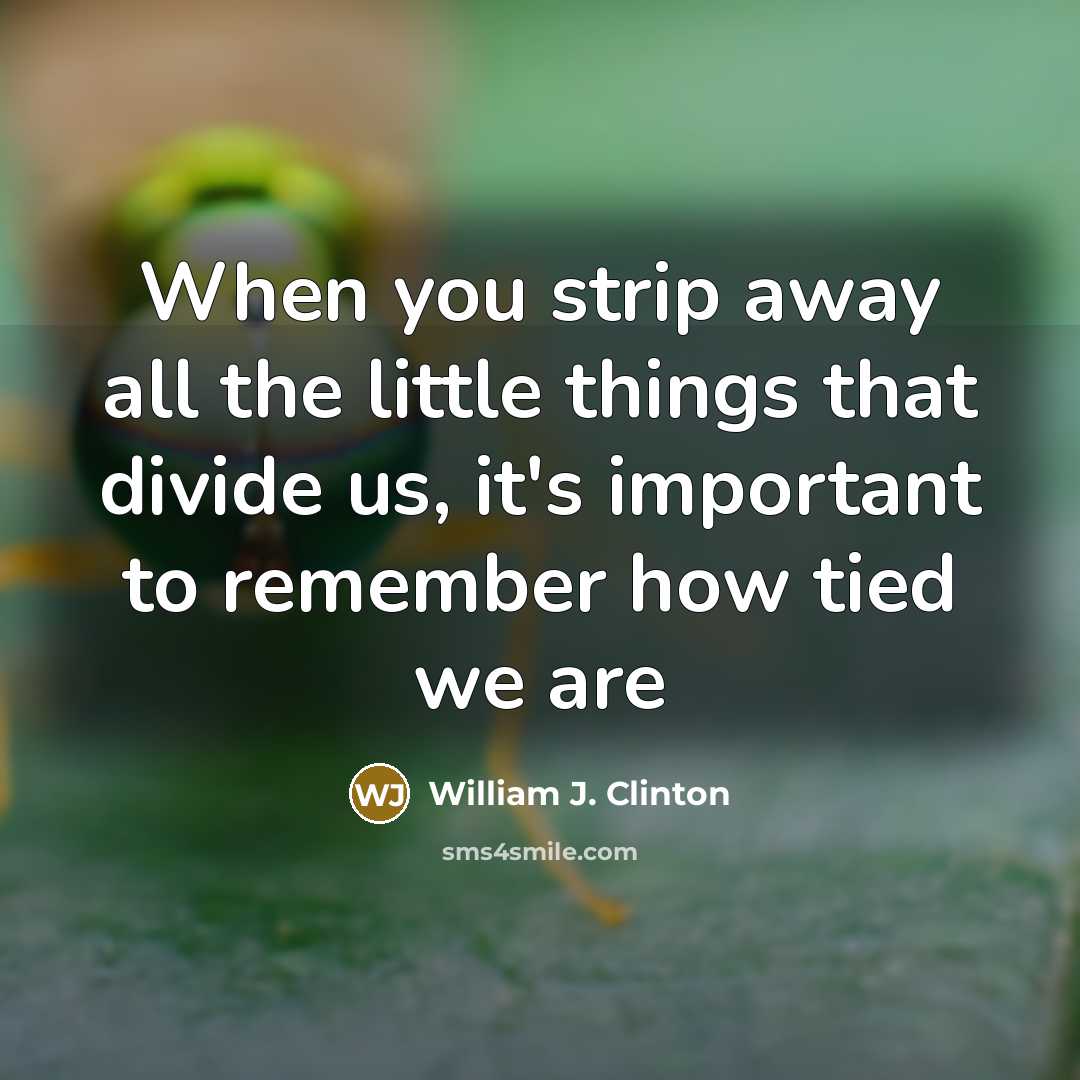 “When you strip away all the little things that divide us, it's important to remember how tied we are” quote by William J. Clinton