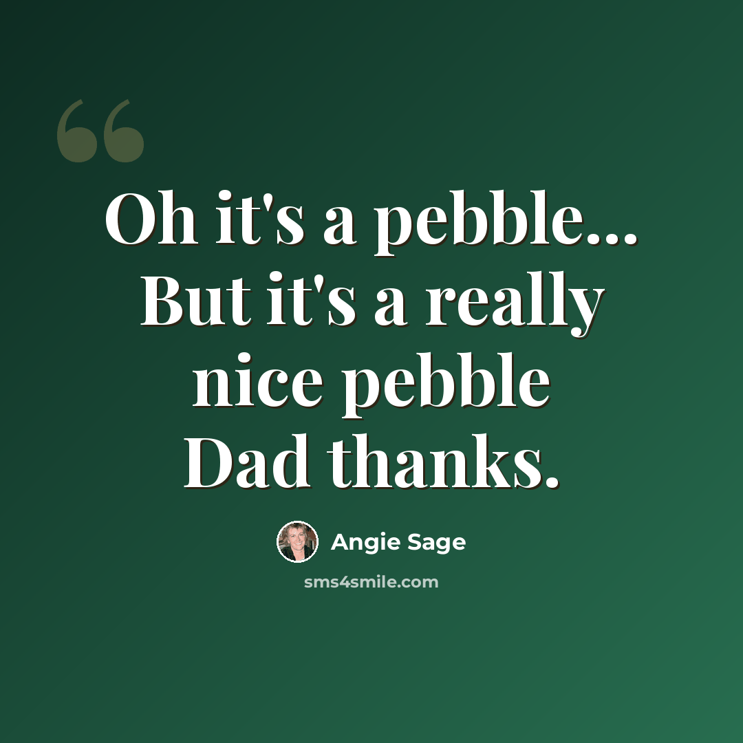 “Oh it's a pebble... But it's a really nice pebble Dad thanks.” quote by Angie Sage