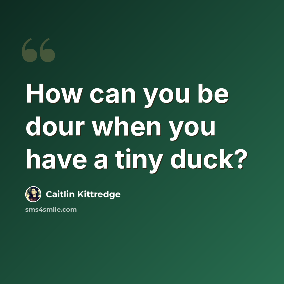 “How can you be dour when you have a tiny duck?” quote by Caitlin Kittredge