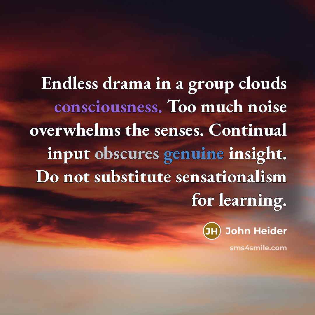 “Endless drama in a group clouds consciousness. Too much noise overwhelms the senses. Continual input obscures genuine insight. Do not substitute sensationalism for learning.” quote by John Heider