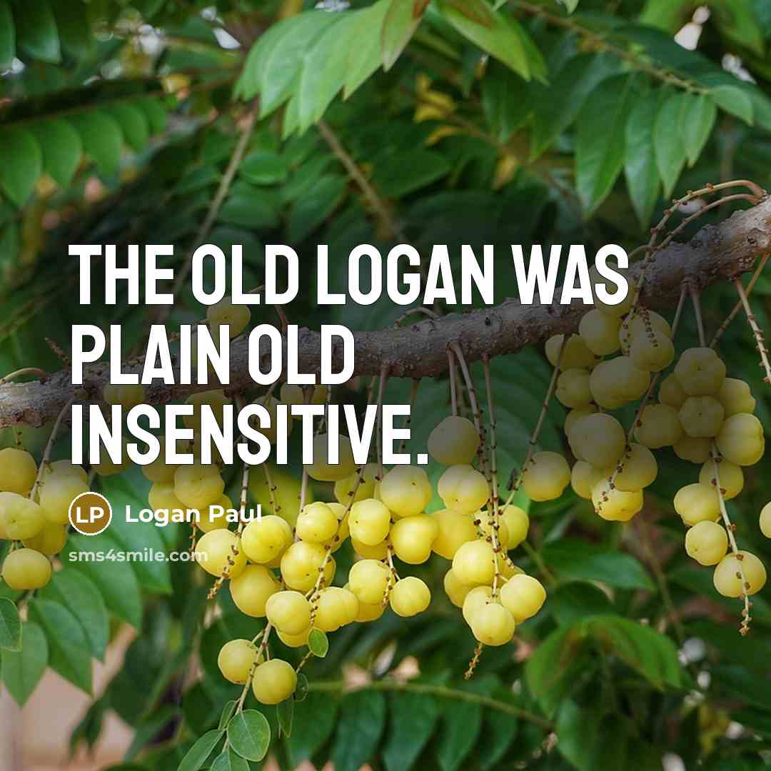 “The old Logan was plain old insensitive.” quote by Logan Paul