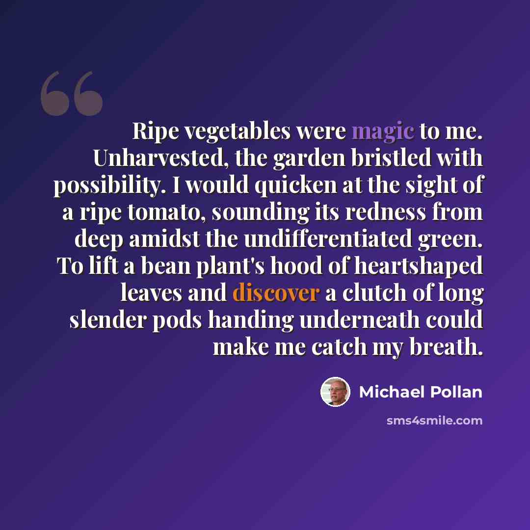 “Ripe vegetables were magic to me. Unharvested, the garden bristled with possibility. I would quicken at the sight of a ripe tomato, sounding its redness from deep amidst the undifferentiated green. To lift a bean plant's hood of heartshaped leaves and discover a clutch of long slender pods handing…” quote by Michael Pollan