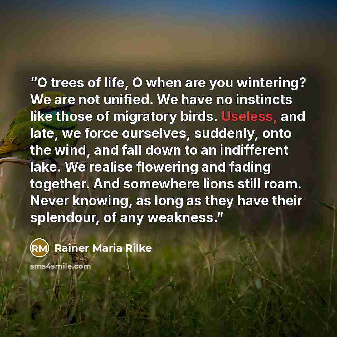 “O trees of life, O when are you wintering? We are not unified. We have no instincts like those of migratory birds. Useless, and late, we force ourselves, suddenly, onto the wind, and fall down to an indifferent lake. We realise flowering and fading together. And somewhere lions still roam. Never…” quote by Rainer Maria Rilke