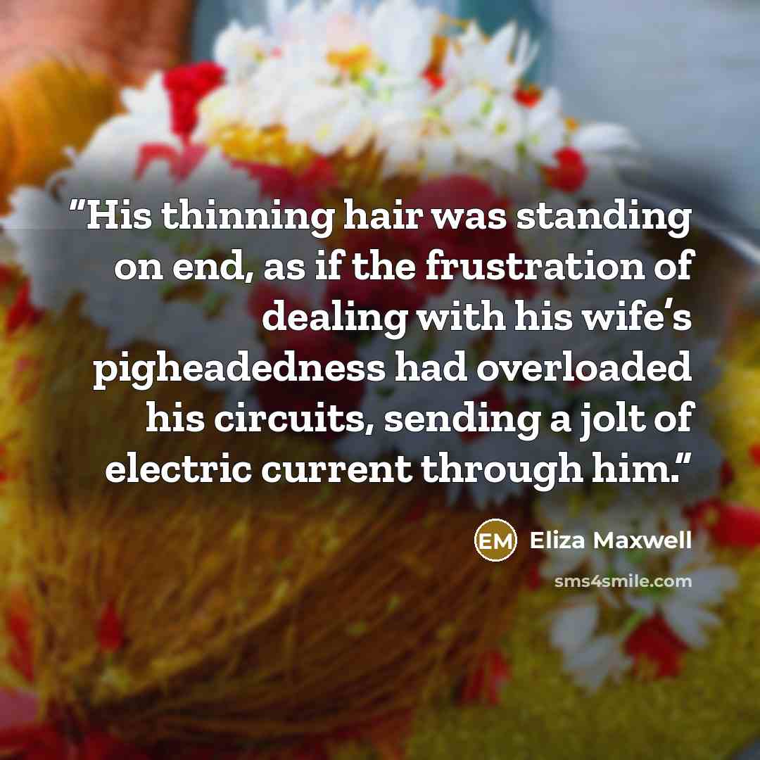 “His thinning hair was standing on end, as if the frustration of dealing with his wife’s pigheadedness had overloaded his circuits, sending a jolt of electric current through him.” quote by Eliza Maxwell