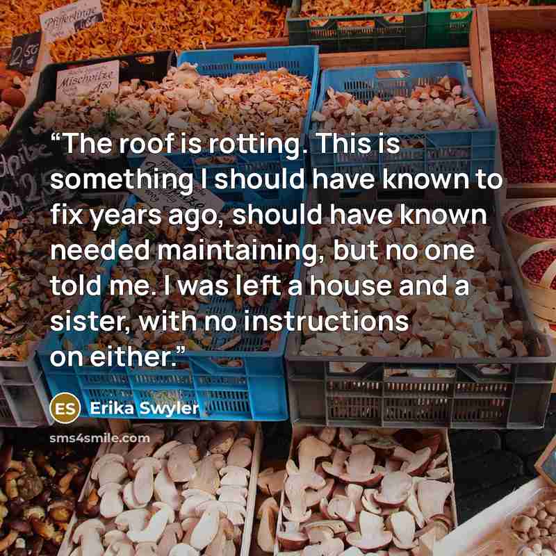 “The roof is rotting. This is something I should have known to fix years ago, should have known needed maintaining, but no one told me. I was left a house and a sister, with no instructions on either.” quote by Erika Swyler