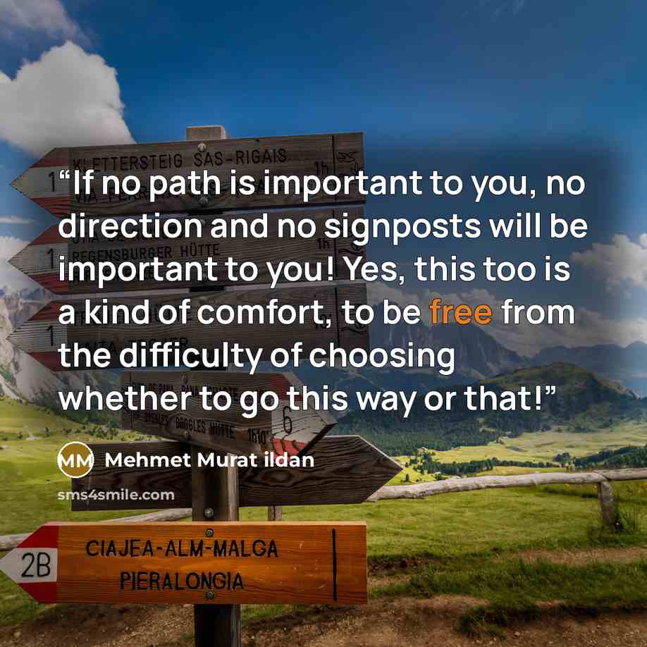 “If no path is important to you, no direction and no signposts will be important to you! Yes, this too is a kind of comfort, to be free from the difficulty of choosing whether to go this way or that!” quote by Mehmet Murat ildan
