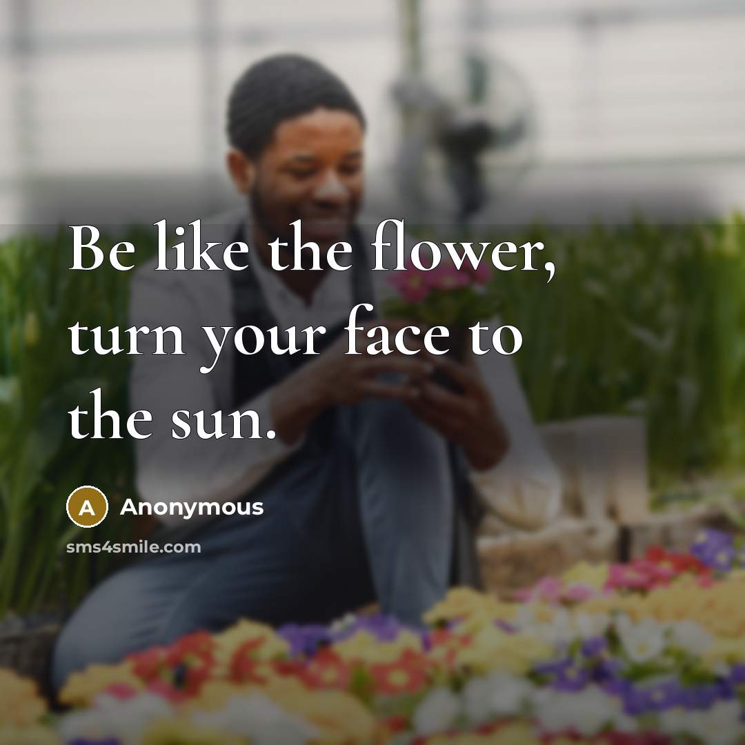 “Be like the flower, turn your face to the sun.” quote by Anonymous